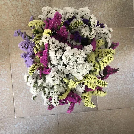 Holiday home Fernanda's House - Incantevole Con Idromassaggio Su Richiesta *